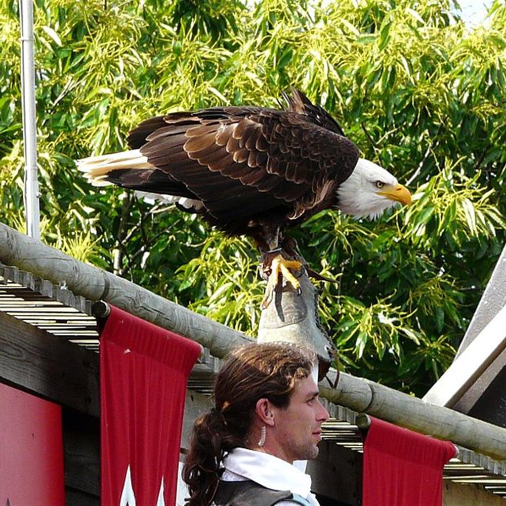 Grand Parc du Puy du Fou proche camping*** le Pont Rouge à Saint Gilles Croix de Vie en Vendée 