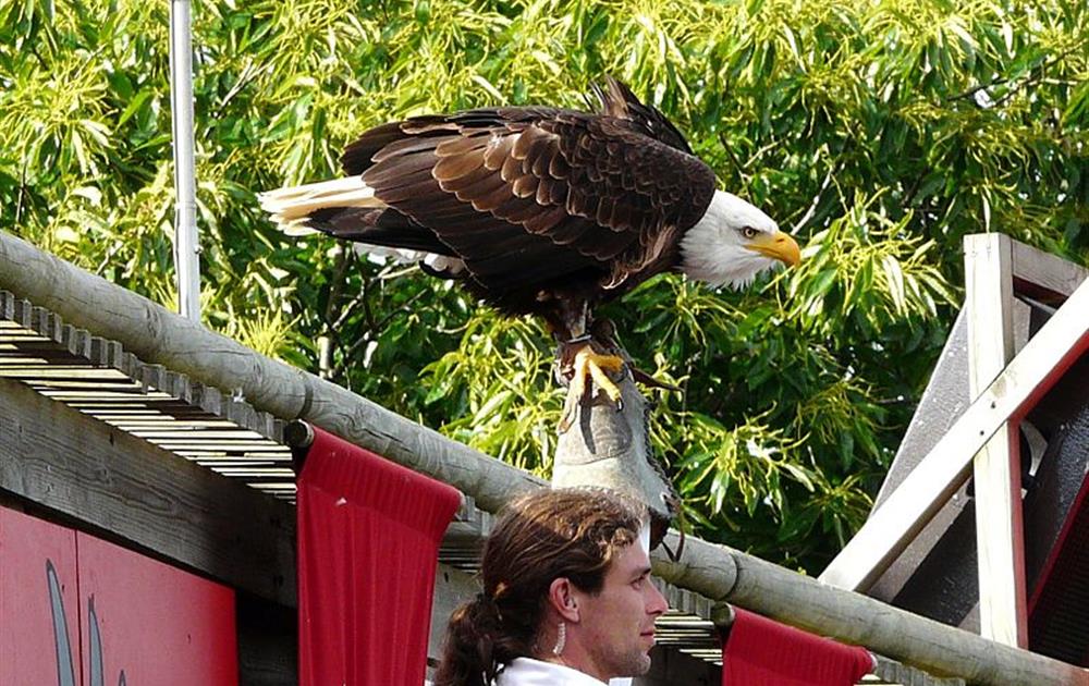 Grand Parc du Puy du Fou proche camping*** le Pont Rouge à Saint Gilles Croix de Vie en Vendée 