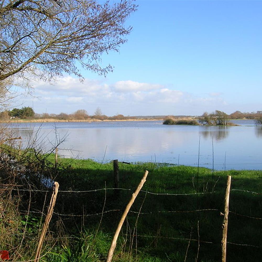 Pêche au Lac du Jaunay