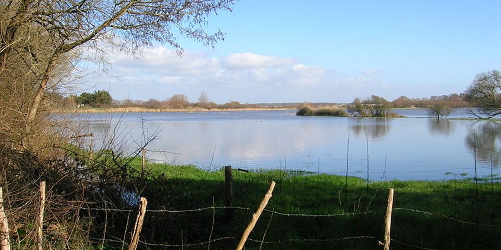 Pêche au Lac du Jaunay