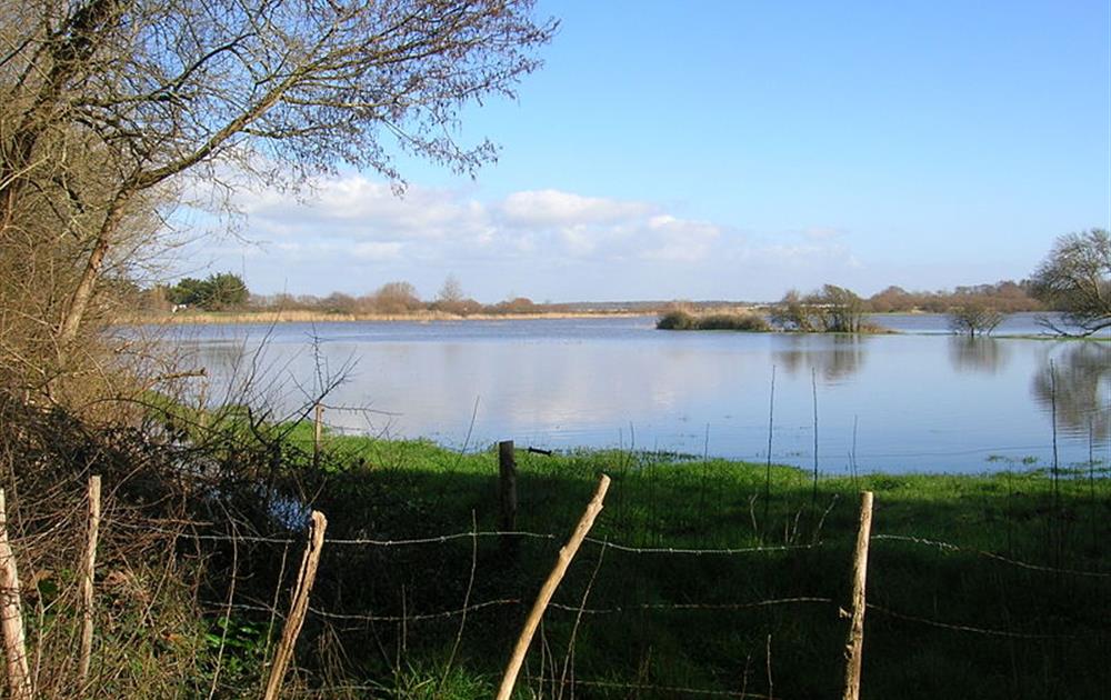 Pêche au Lac du Jaunay