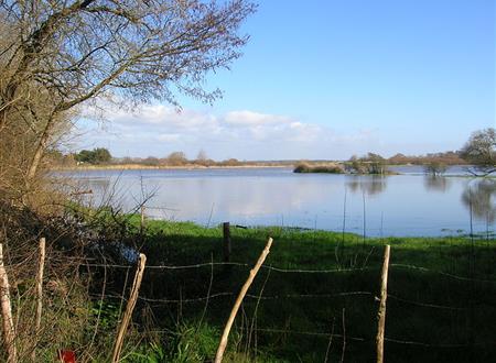 Pêche au Lac du Jaunay
