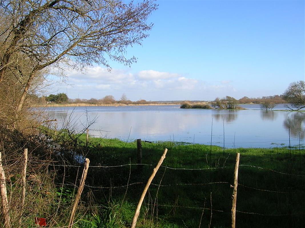 Peche Saint Gilles Croix de Vie - Lac du Jaunay - Camping ...
