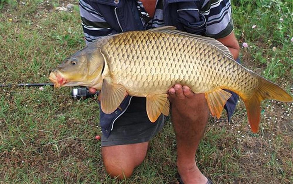 Pêche Vendée